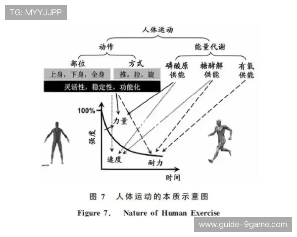 基于运动表现数据的体育技术深度解析与优化策略研究